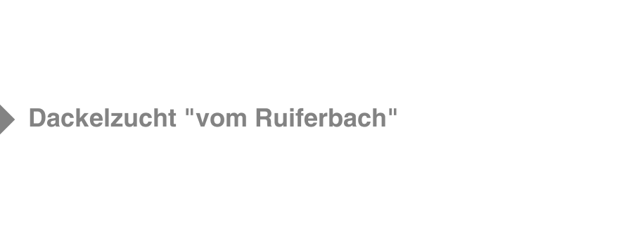 Dackelzucht "vom Ruiferbach"